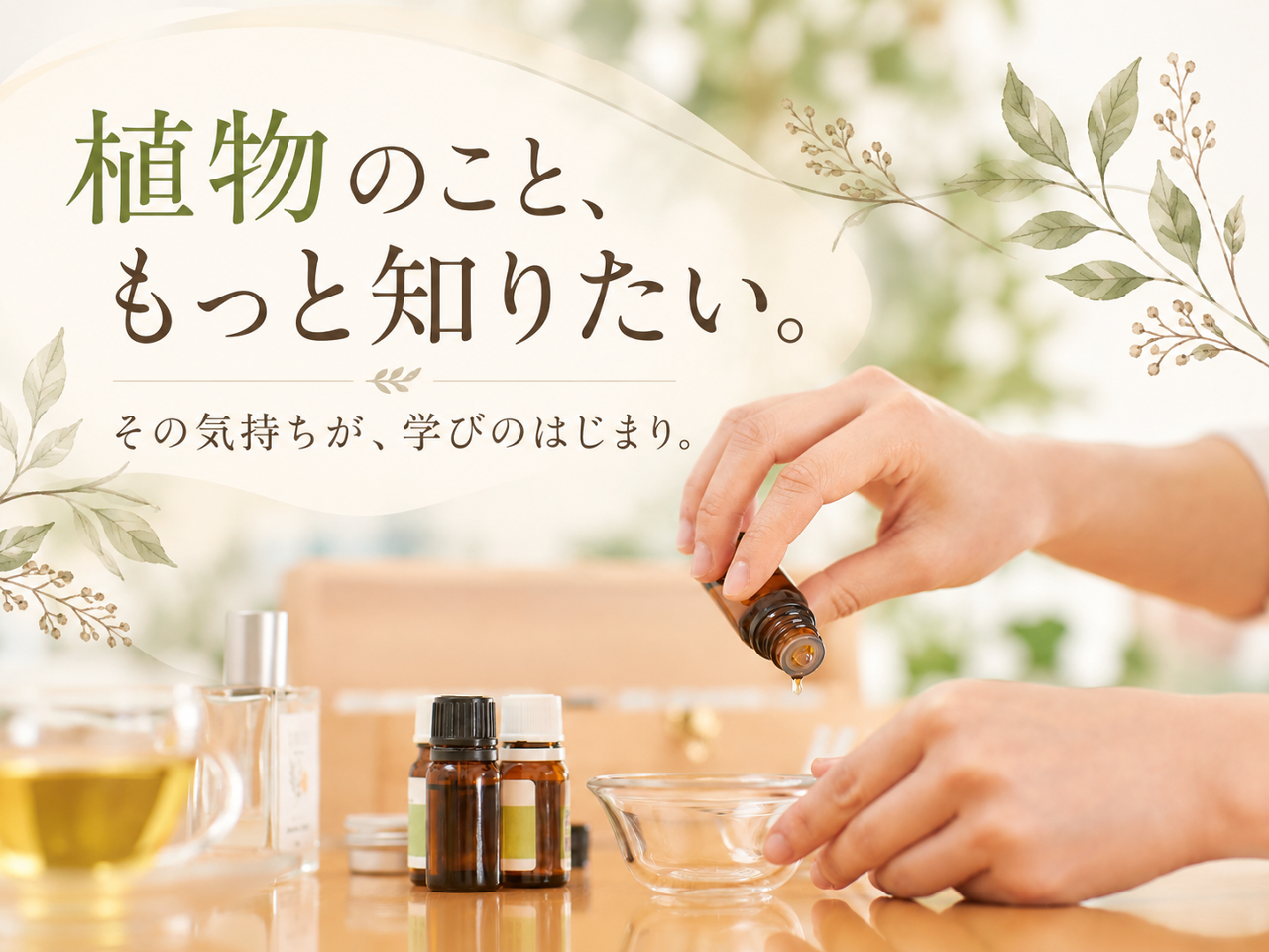 植物を知るともっと知りたくなる｜その気持ちが、学びのはじまり